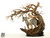 【PRE-ORDER】Bard Studio Child Miquella