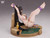【PRE-ORDER】Crown Studio 1:6 Tsukatsuki Rio