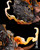 【IN-STOCK】HAOZI Studio World of Warcraft Garrosh Hellscream Regular version