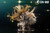 【PRE-ORDER】ACGN 02 Studio 1:7 Kirisame Marisa