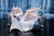 【PRE-ORDER】TouFou Figure Studio Labrynth