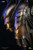 【PRE-ORDER】Deep Tale Studio Wolf Predator Bust with LED
