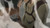 【PRE-ORDER】Saoirse Studio 1:6 Mikasa & Eren hugging
