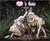 【PRE-ORDER】Lolikoo × Sugar heart Studio 1:6 Priestess & Sword Maiden