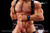 【PRE-ORDER】Astra Studio 1:6 Captain Doberman Victor Aldrich