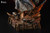 【PRE-ORDER】Bonfire workshop Trench Crusade Artillery Witch