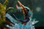 【IN-STOCK】Dragon Frontier Studio MonsterHunter Lagiacrus﻿ A version with LED