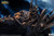【PRE-ORDER】Blizzard World of Warcraft 1:10 The Lich King Licened