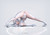 【PRE-ORDER】New Age Studio 1:6/1:4 NIKKE Cinderella