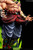 【PRE-ORDER】KING Studio Beast Broly