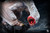 【PRE-ORDER】S6 Studio 1:6 Khezu