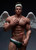 【PRE-ORDER】Gentleman Studio 1:6 Levien & Morpheus