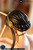 【PRE-ORDER】Light Sculpt Studio Yor Silicon Doll