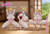 【PRE-ORDER】Meat Studio Tsuki Uzaki & Hana Uzaki & Yanagi Uzaki