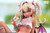 【PRE-ORDER】Milky Studio 1:6 Succubus Milica