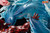 【PRE-ORDER】PickStar Studio 1:6 Kisame Hoshigaki with LED Licensed