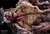 【PRE-ORDER】BK Studio Attack on Titan vs Armored Titan