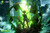 【PRE-ORDER】Sakura × More Studio Shigeo Kageyama with LED