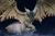 【IN-STOCK】S6 Studio Monster Hunter Legiana