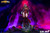 【PRE-ORDER】HEX Studio Blizzard Hearthstone 1:6 Valeera Sanguinar Licensed