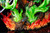 【PRE-ORDER】Jimei Palace Studio 1:6 Legendary Roronoa Zoro Licensed