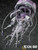 【PRE-ORDER】ACGN 02 Studio 1:6 NIKKE Liberalio