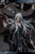 【PRE-ORDER】JOMATAL Studio 1:4 Renegade Immortal WangLin Licensed
