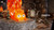 【PRE-ORDER】WuYu Studio Calcifer with LED