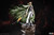 【PRE-ORDER】BBSD Studio Syaoran Li