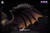 【PRE-ORDER】Dragon Realm Studio Nergigante