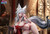 【PRE-ORDER】Demon Core Studio 1:6 Hsin