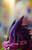 【PRE-ORDER】Rocketo Punch Studio Mega Gengar