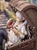 【PRE-ORDER】Cinderella Studio 1:6 Frieren in Treasure Chest