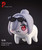 【PRE-ORDER】Pineapple Studio 1:4 NIKKE Cinderella