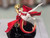 【PRE-ORDER】Dragon Stone Studio 1:7 Sodom's Beast Draco