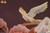 【PRE-ORDER】HEX studio 1/6 Shindou Hikaru & Fujiwara no Sai Licensed