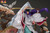 【PRE-ORDER】HEX studio 1/6 Shindou Hikaru & Fujiwara no Sai Licensed