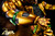 【PRE-ORDER】Chaos studio OJO Dio Brando & The World 1:6