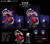【PRE-ORDER】Wonderland studio 1/6 Kikyō