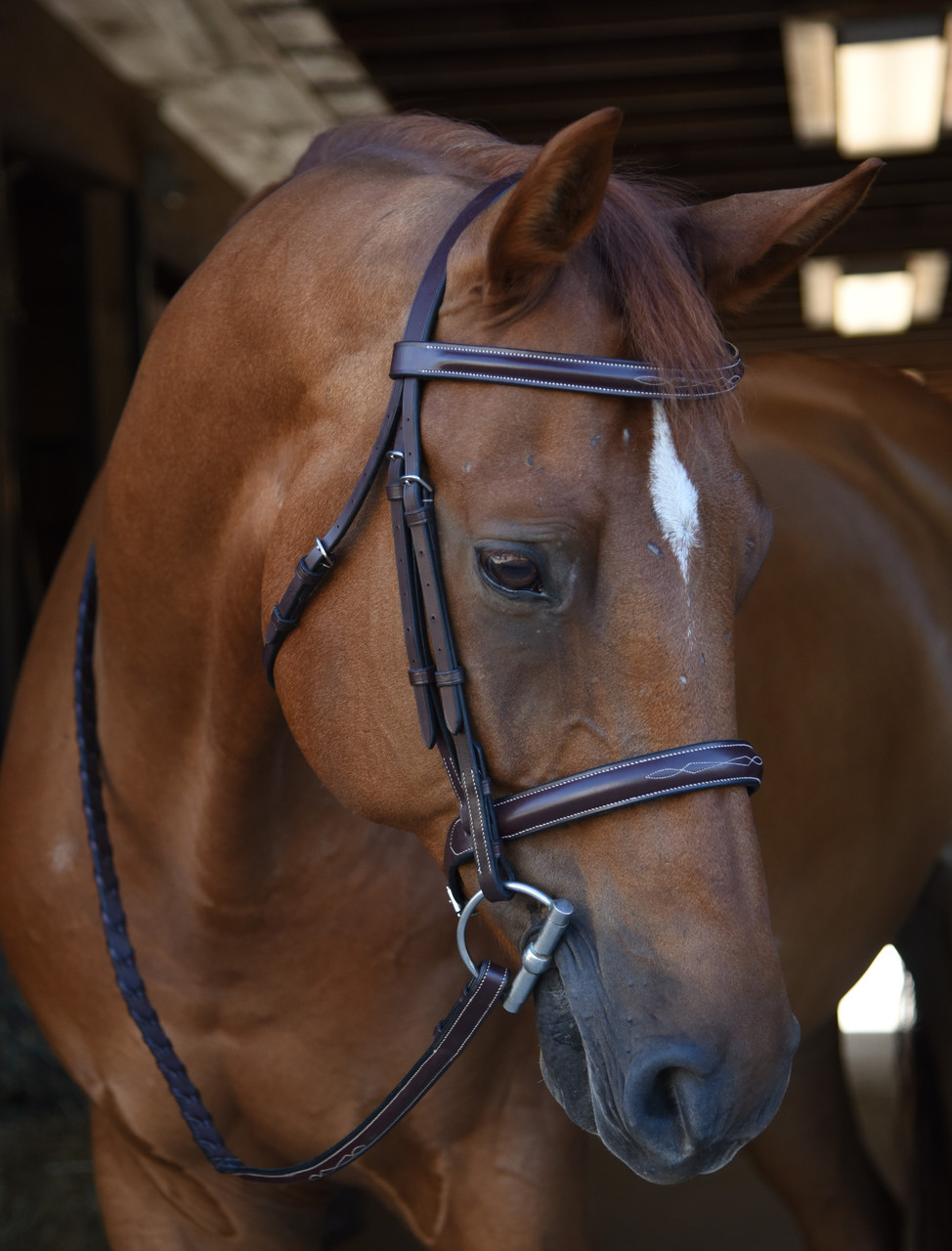 KL Select Poppy Bridle - Thumbnail 5