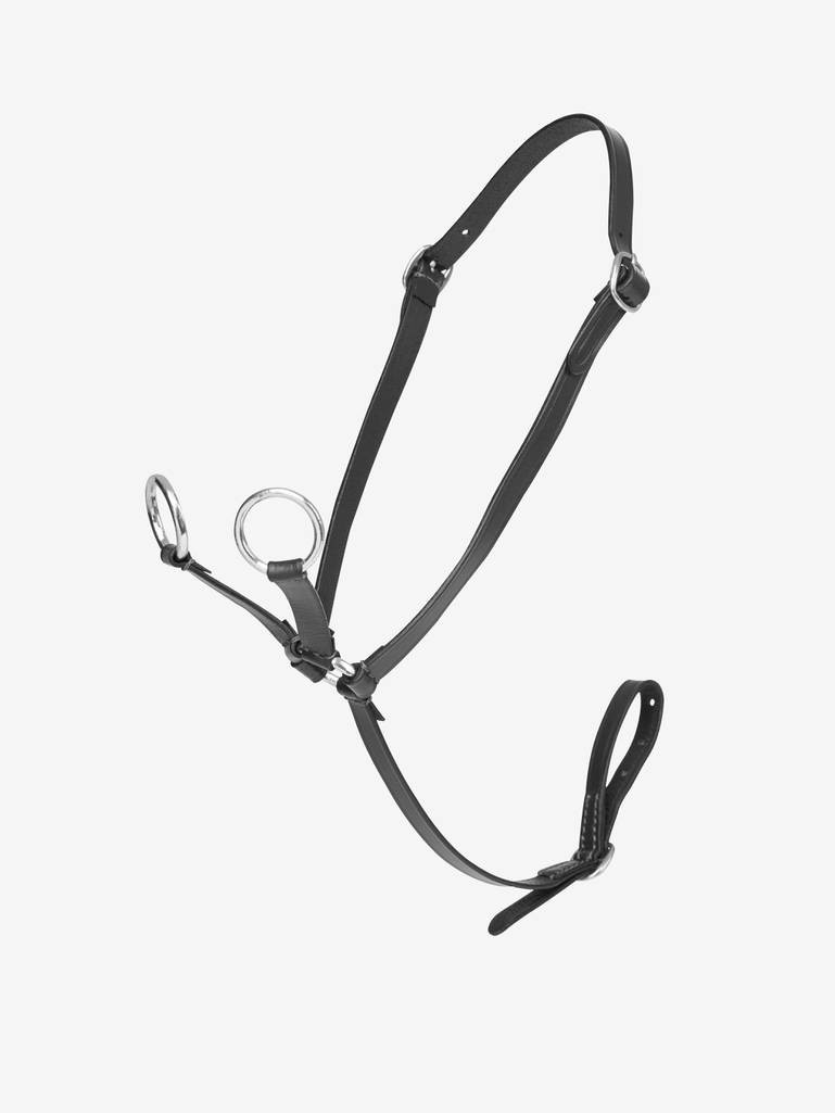 Martingale CWD Classique | Martingales