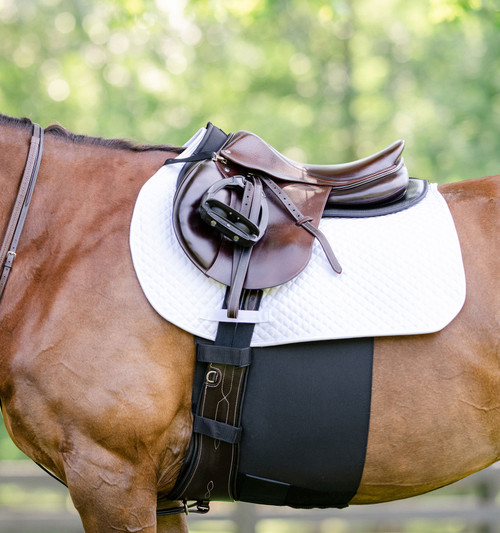 EquiFit Belly Band Plus - Black