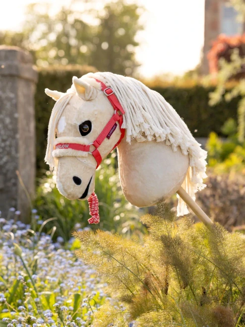 LeMieux Hobby Horse Harlow Halter & Lead - Coral Crush