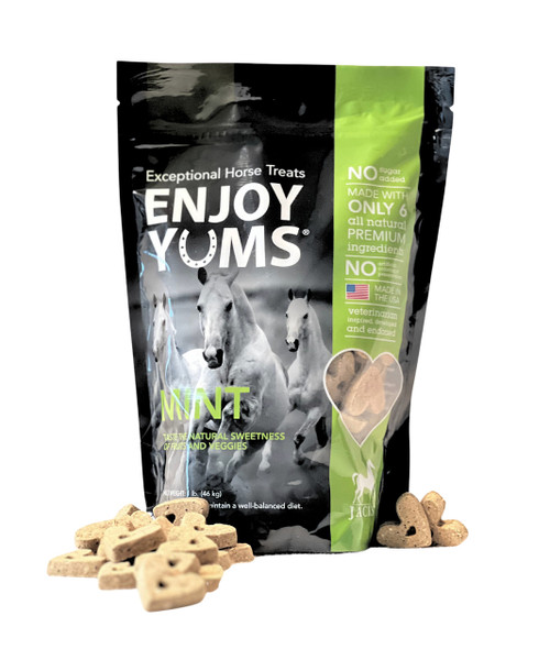 EnjoyYums Horse Treats 1 lb. Bag - Mint