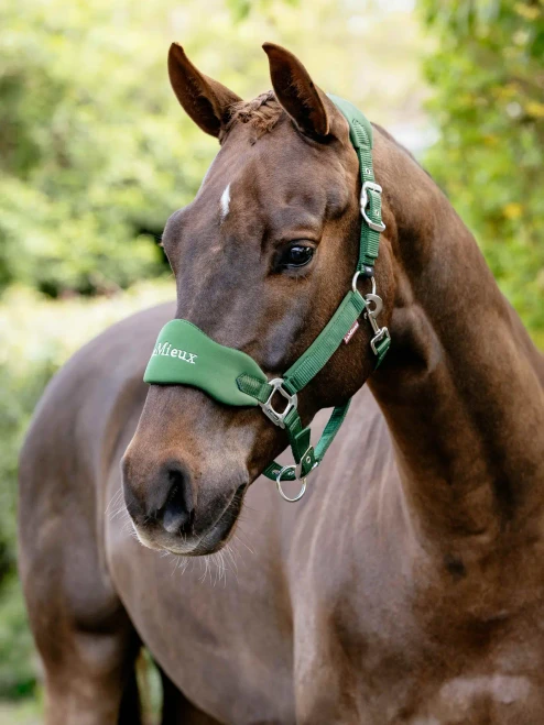 LeMieux Vogue Breakaway Headcollar & Leadrope - Hunter Green