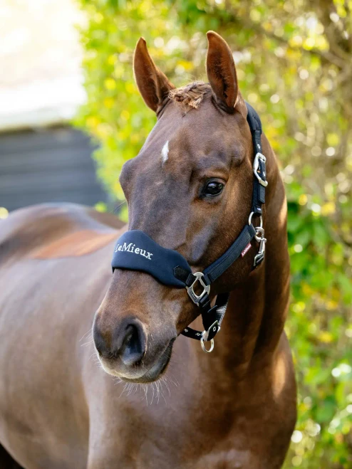 LeMieux Vogue Breakaway Headcollar & Leadrope - Black