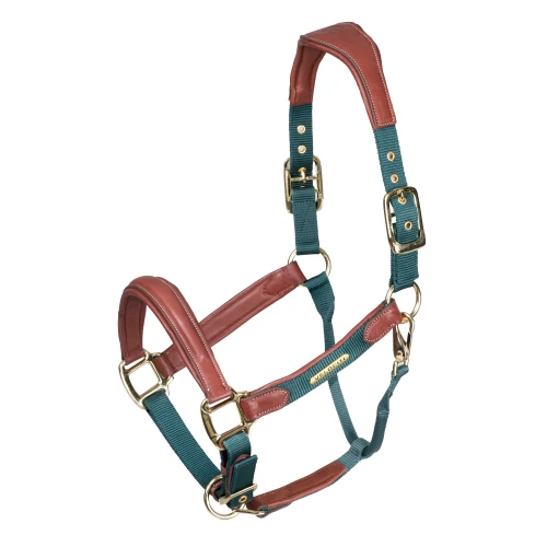 Shires Velociti Lusso Padded Leather Headcollar Breakaway - Green
