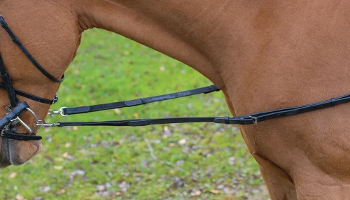 Shires Avignon Leather & Elastic Side Reins - Havana