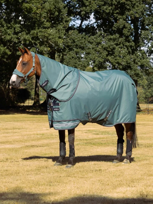 LeMieux Arika Ripstop 0g Lite Turnout Sheet with Neck - Aloe