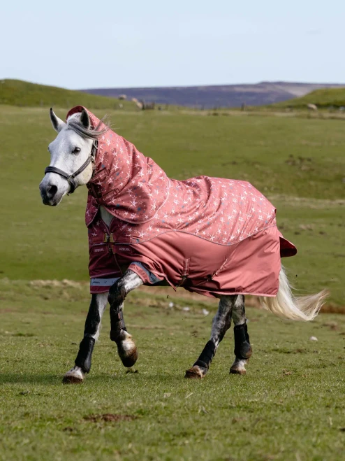 LeMieux Arika Star Turnout Rug 200g - Spiced Earth